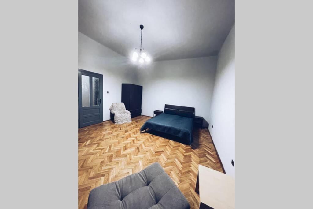 ☆Modern High Ceiling Apartment - Heart Of The City Oradea Eksteriør bilde